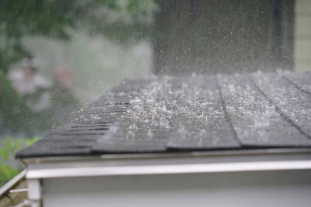 Best Roof Insulation Installation  in Belton, SC